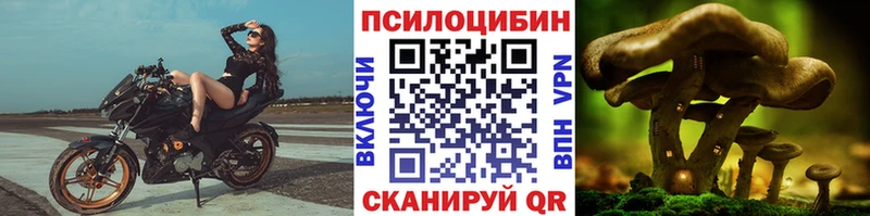 наркотики  Адыгейск  Галлюциногенные грибы Psilocybe 